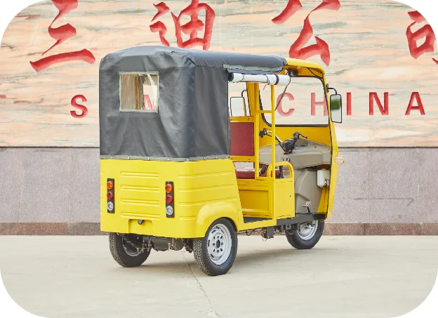 Electric Motorized Tricycles For Adults Three Wheel Bicycle With Open Body Mini Tuk Tuk