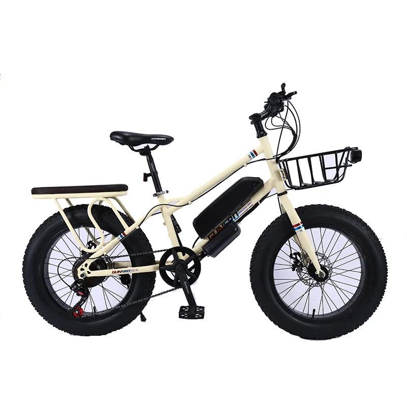 Custom Snow Bike Ebike Mid Drive Electric Bike 20 Inch Electric Bicycle Fat Tire Mtb Mountain Bike