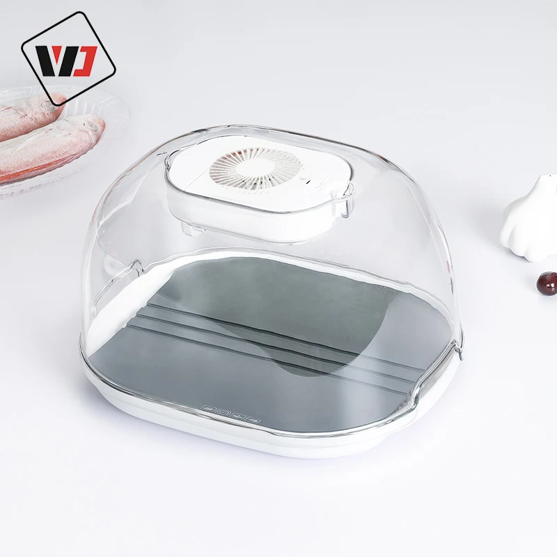 2022 new development thaw defrosting tray high quality thawing tray for frozen meat