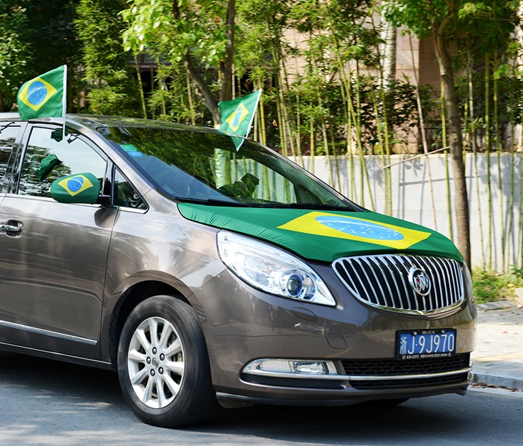 Custom plastic rod custom size diplomatic car flag