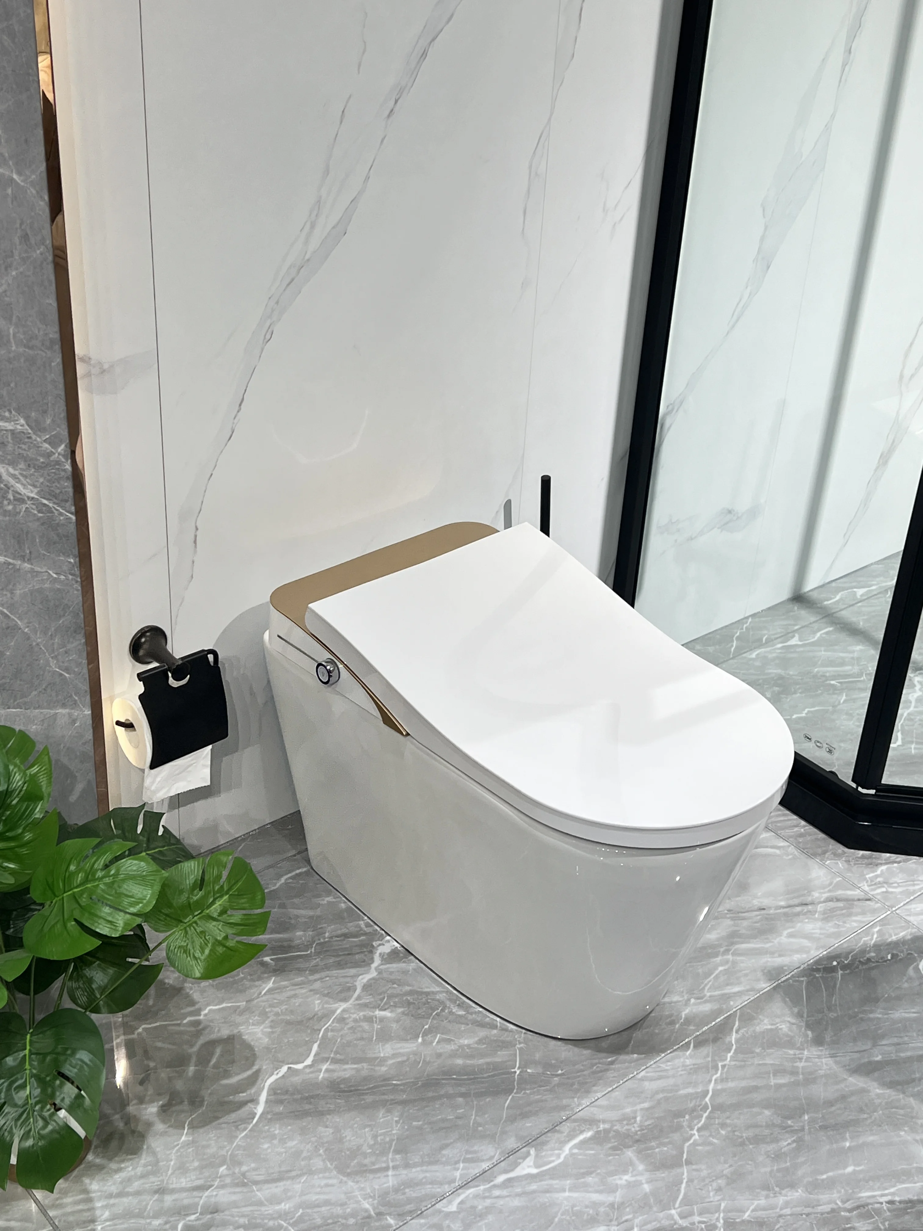 Electric Bidet Heated Smart Toilet With Sunken Water Tanka
