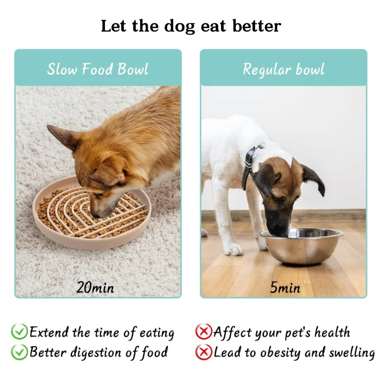 Dog Bowl 02 - 15