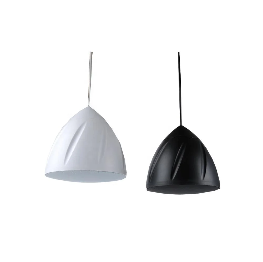 Two way PA pendant speaker