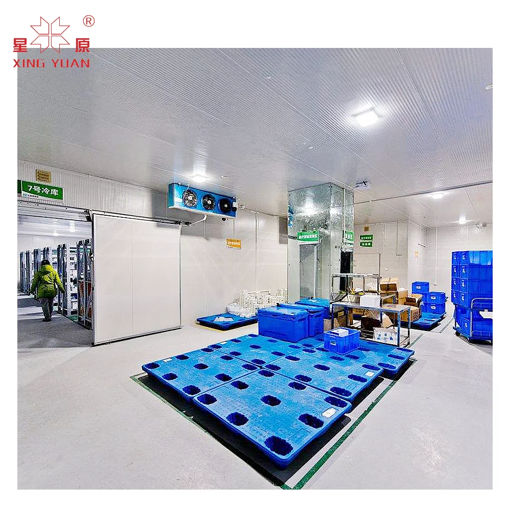 cool storage room 12feet cotener freezer cooling warehouse, deep freezers for fish and meat