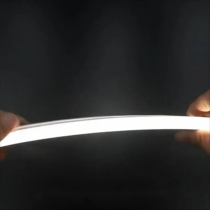 silicone sleeve waterproof ws2812b 60pixel/m 5050 smd 24V 12*20mm flex led neon stripe