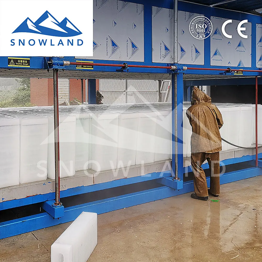 2021 Snowland ice maker for fishery with capacity 5 ton block ice of Intelligent ice production equipment