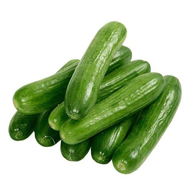 Crisp Delicious Bulk Long Cucumbers High Natural Green Vegetables Hot Price Exporters Quality Fresh Cucumber For Sale