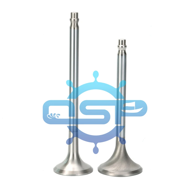 Manufacturer Russia Designed  6ch21/21 Diesel Engine Parts Valve INT  EXH Valve  0210.05.060   0210.05.070