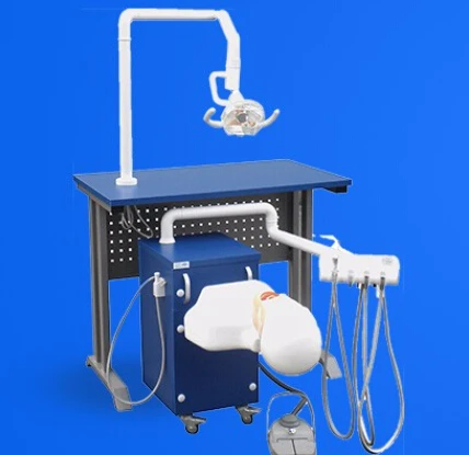 DT dental manikin advanced phantom head