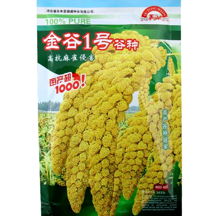 Touchhealthy supply high yield bulk price millets seeds 150gram/bags for planting