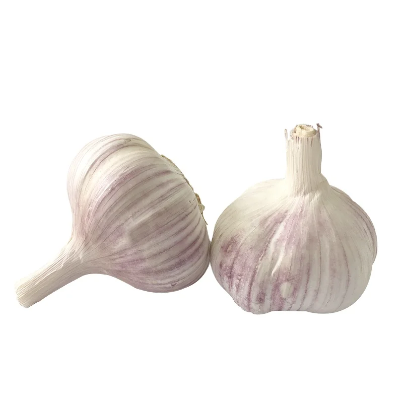 Garlic From China Fenduni Supply Fresh RED Garlic Normal White 5.5cm 10kg/carton for South Sudan/Mayotte
