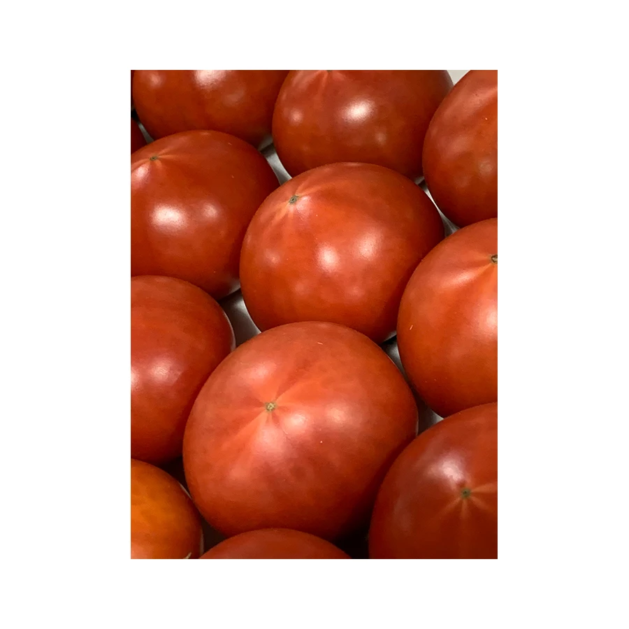 Japanese high quality fresh good taste tomato flavor for wholesale