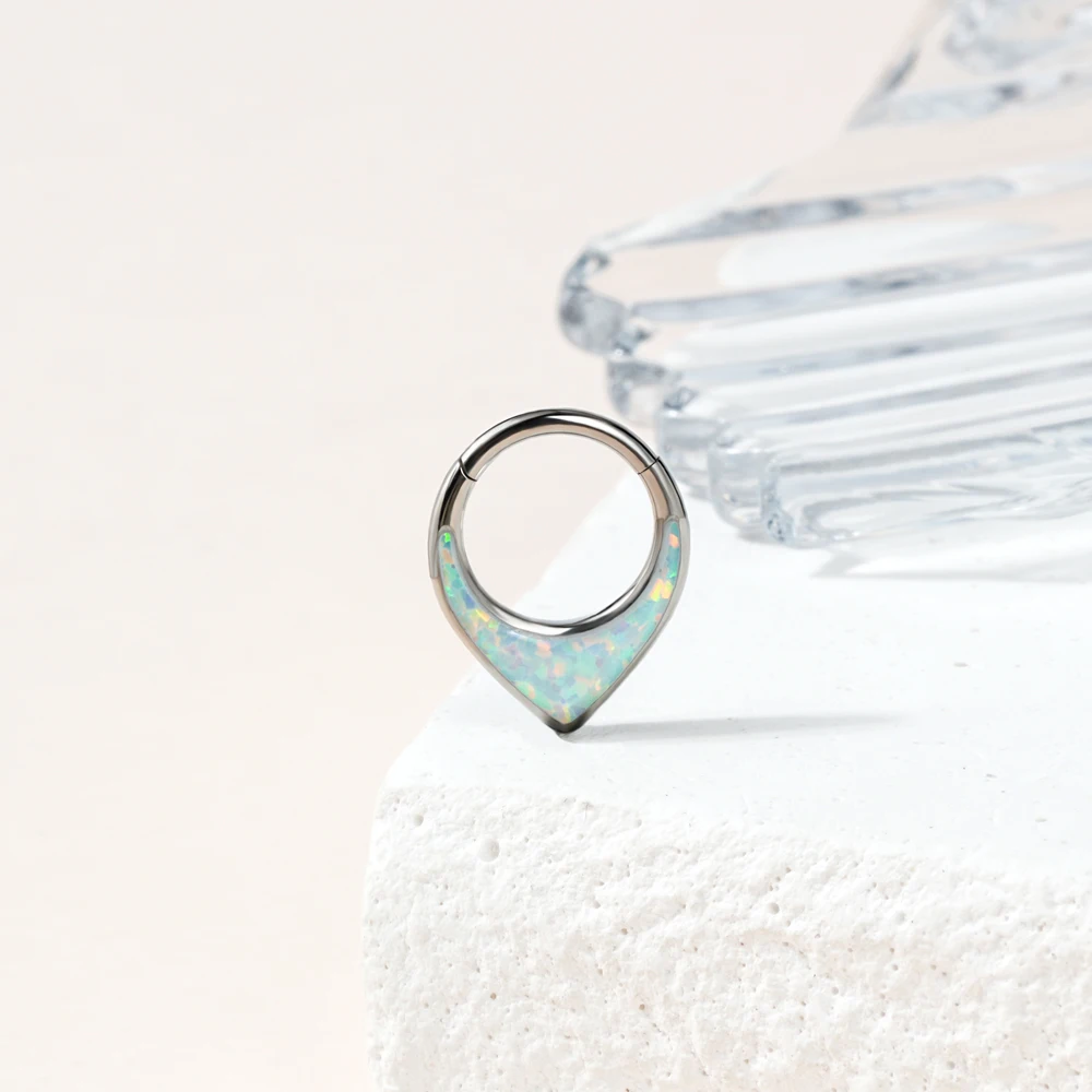 ASTM F136 Titanium CZ Cluster Hinged Segment Clicker Septum Rings Implant Titanium Nose Piercing Jewelry Labret Stud Navel Ring