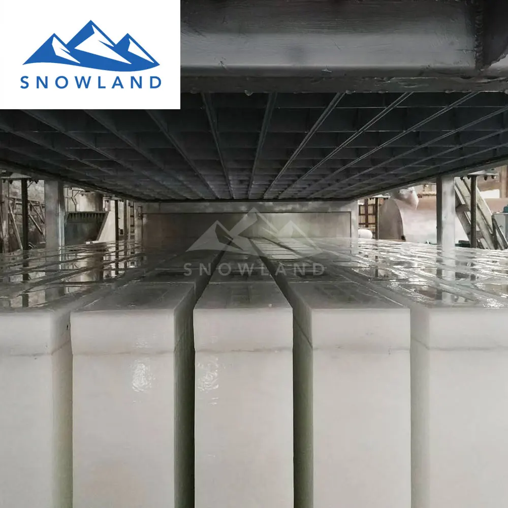 Лед завод по производству с 15 тонн льда