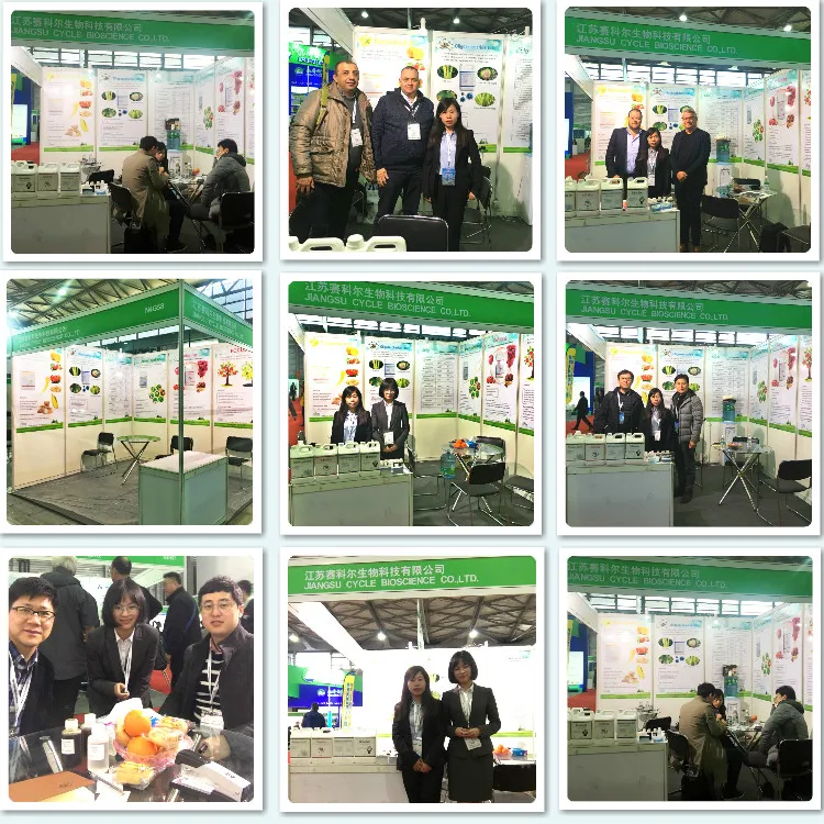 Fertilizer synergist enhance effect POLYGLUTAMIC ACID  PGA agriculture use  apply on rice wheat corn bean vegetable fruits