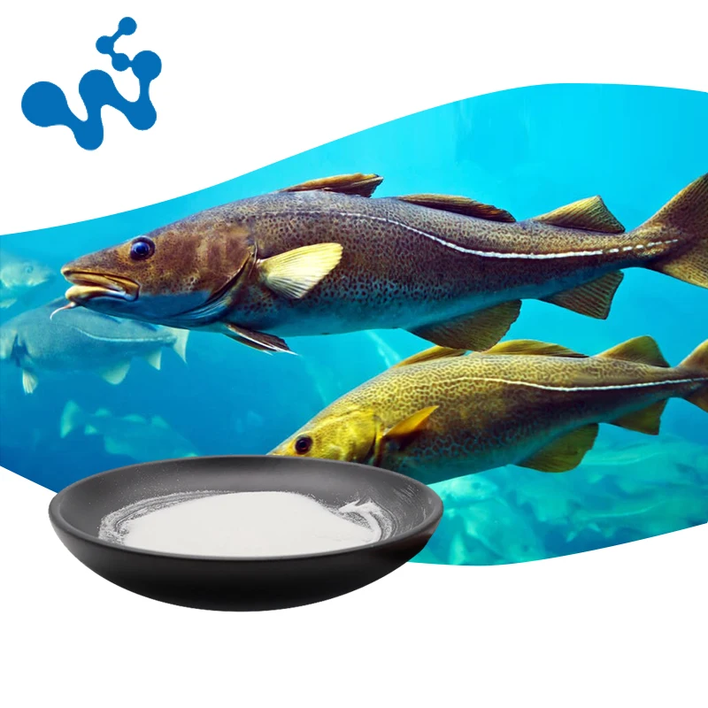 Tidetech EHS-collagen Peptide skin beauty supplement Collagen proteins Bio Kollagene Type I Atelocollagen Powder