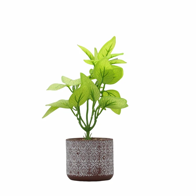 Red Ceramic Garden Pot Malaysia Botanical Design Flowerpot color ceramic succulent pot