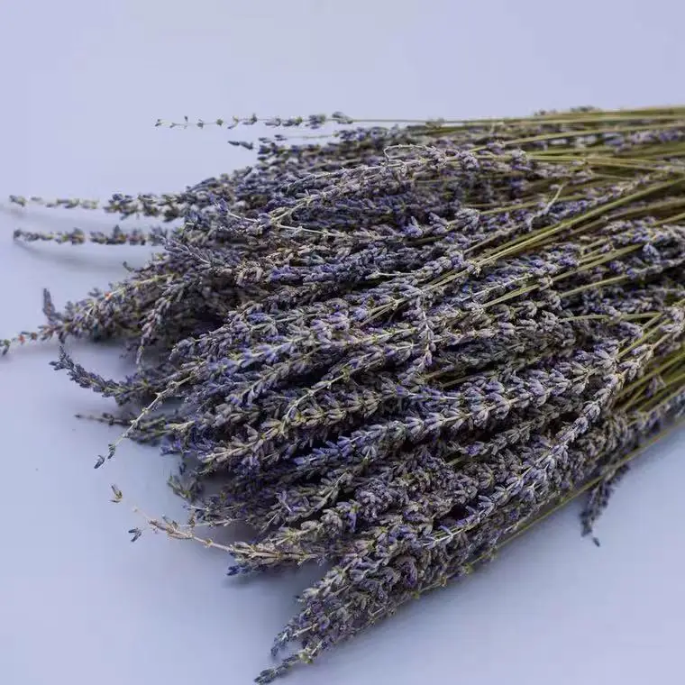 High Quality Christmas Decoration Flowers Dried Flowers Decorative Flowers & Wreaths Wedding Fragrant Lavender Dried