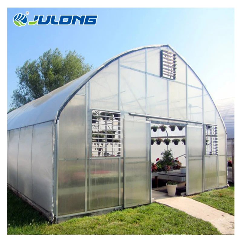 Single-span Green houses Grow Light Greenhouse For Bell Pepper Planting