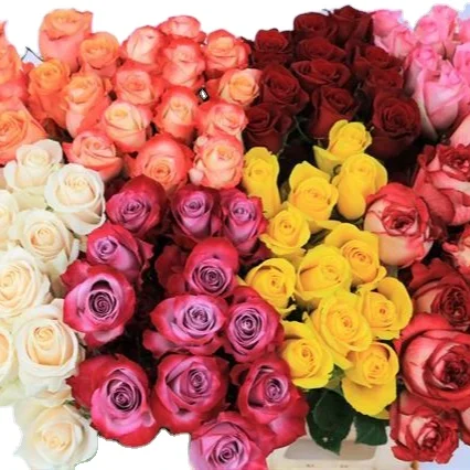 Premium quality Mix Colour Real fresh cut flowers  (size  80 cm ) not preserved decorative flowers