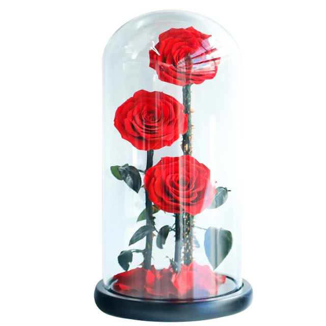 Ammy Factory Preserved Flower Rose Big Prince 3 Red Roses  Forever Flowers Eternal Roses In Glass Dome For Valentines Day Gifts