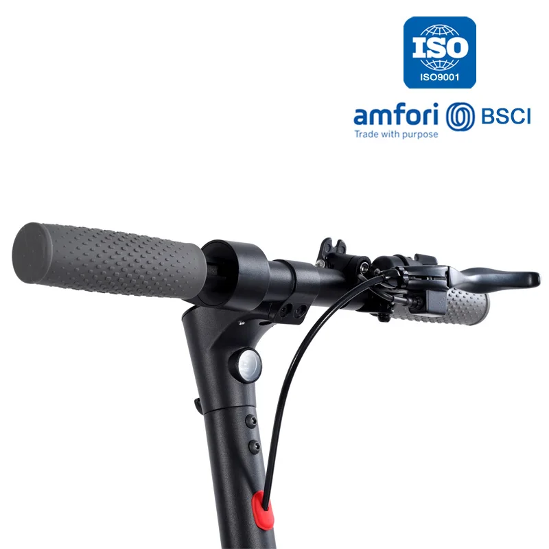 Powerful 350w Motor with 10 inch honeycomb tires  Urban E scooter 360Wh Battery Long endurance EN17128