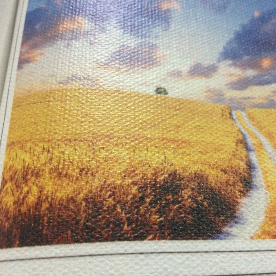 Printing Canvas Roll 110g-600g For Advertising Polyester or Cotton