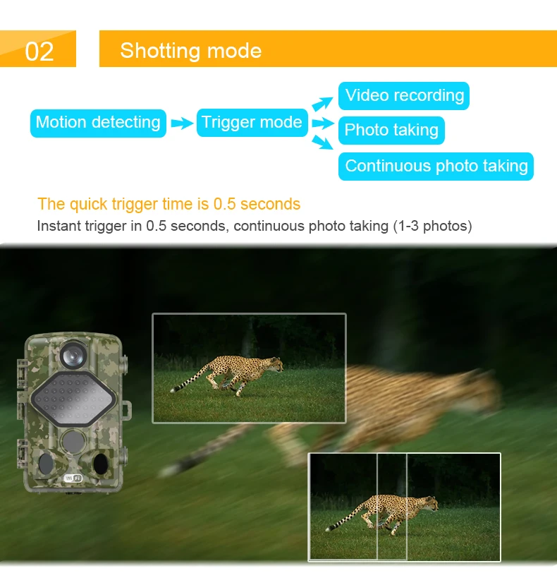 WDH-502 hunting camera_04.jpg