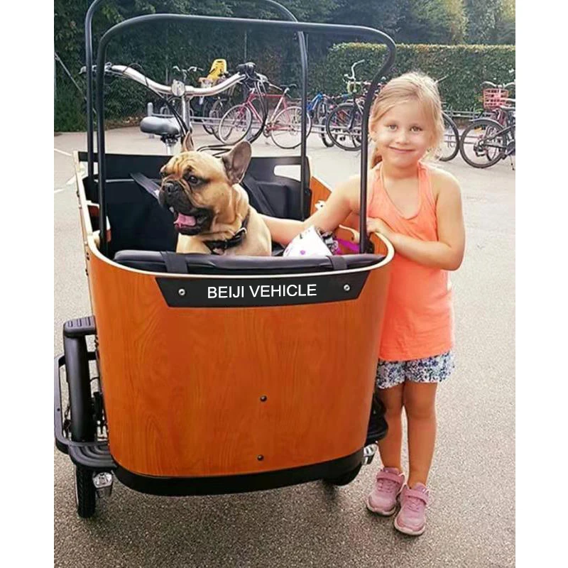cheap electric tricycle cargo bike with 3 wheel bike for family