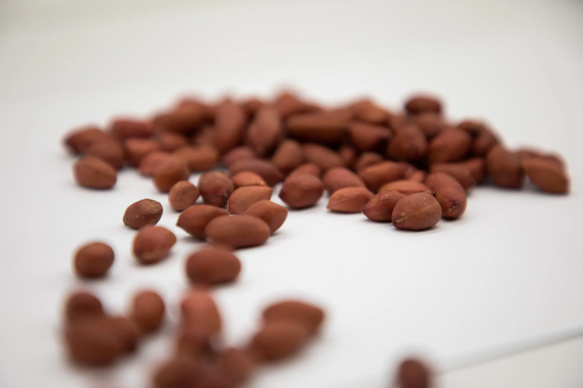 Healthy snack top grade organic peanut kernels peeled peanuts nuts in bulk from Uzbekistan manufacturer