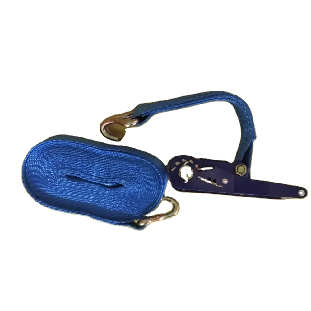 
China factory wholesale endless ratchet tie down ratchet buckle strap 