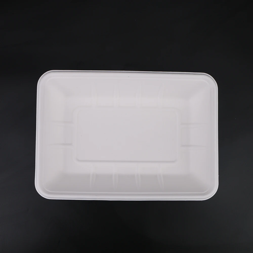 Biodegradable & Compostable Sugarcane Bagasse Rectangular Serving Sushi Tray