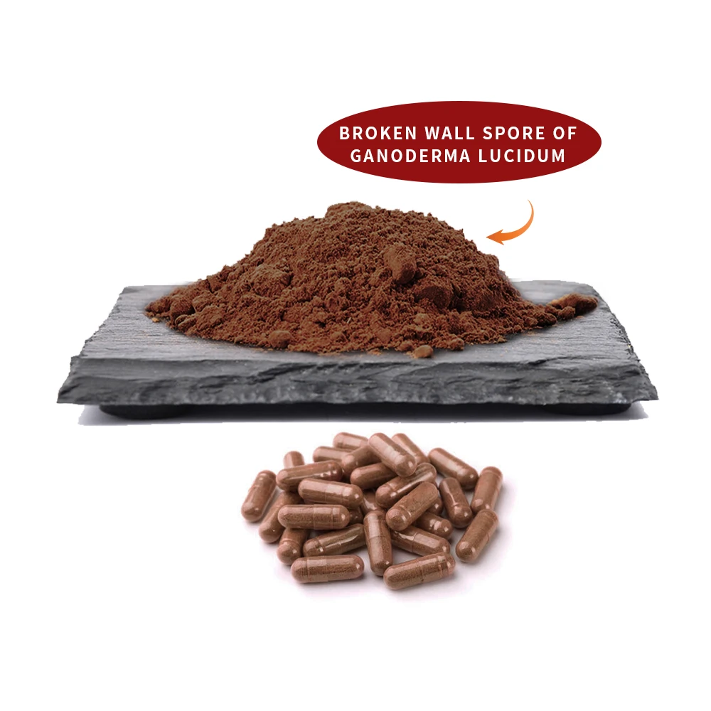 Reishi shell-broken spore Extract ganoderma lucidum wall-broken spore powder capsules 100%pure healthy supplement