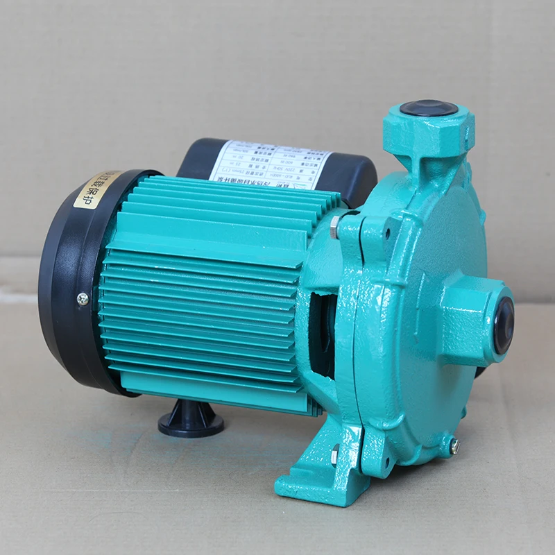 
LUDING Rud-600Eh Electrical Hot And Cold Water Centrifugal Pump For Household 