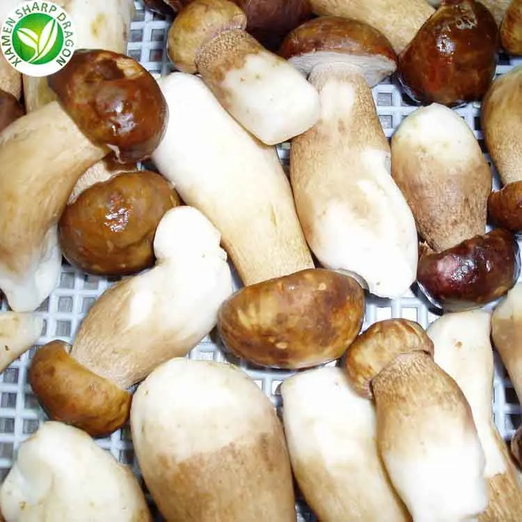 
Supplier price IQF frozen or dried porcini mushrooms and boletus edulis 