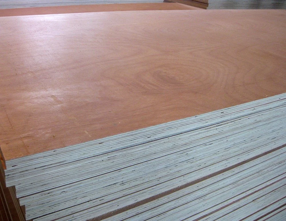 cheap plywood/Bintangor packing plywood