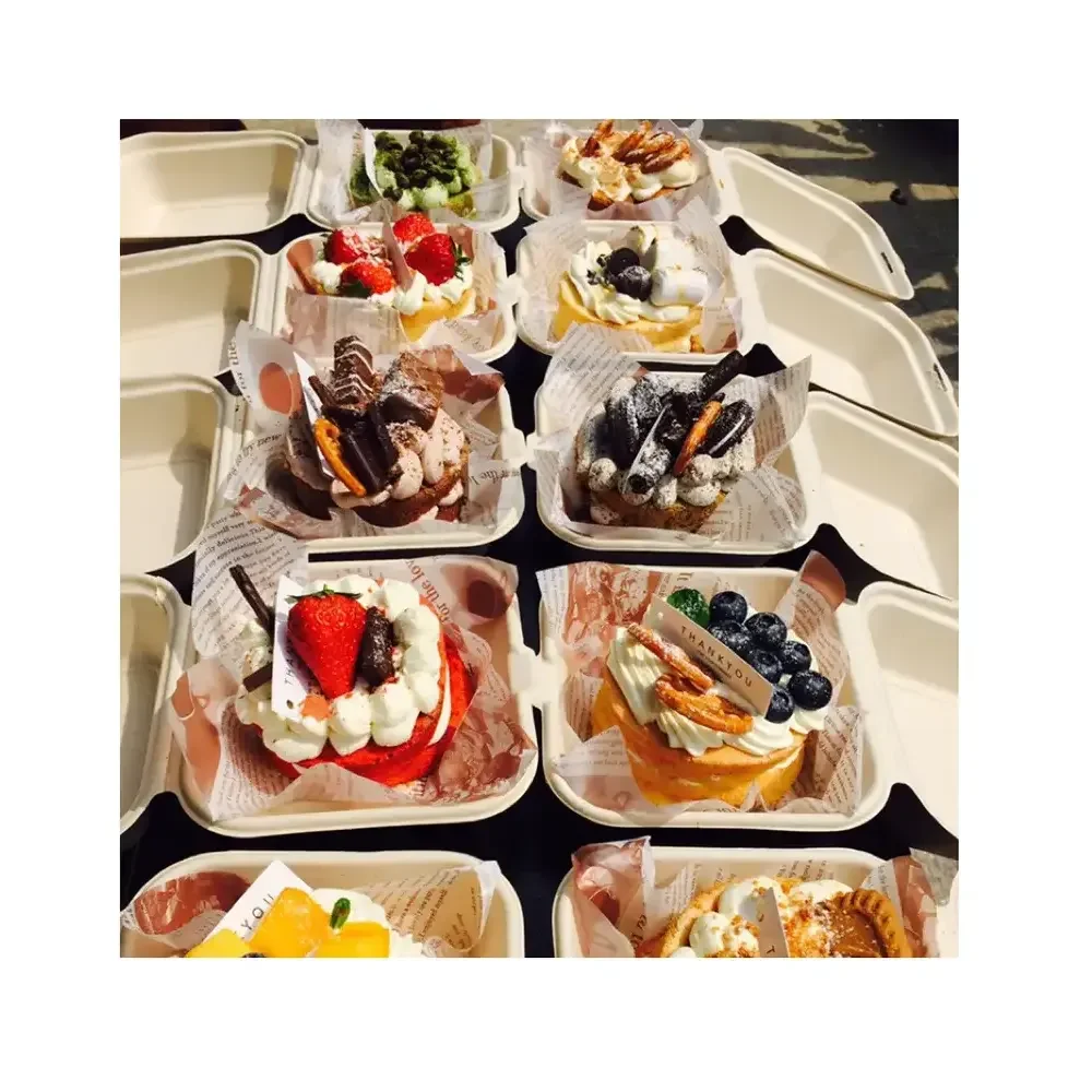 SGP Disposable Lunch Box Take-Out Cake Paper Box Packaging Wholesale Hot Sale Sugar Cane Pulp Burger Box UV Advantage Food