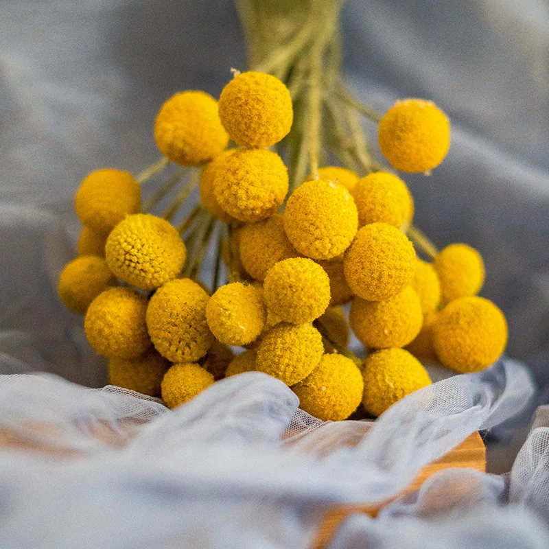 A-20 wholesale cheap natural Golden ball dry for candles arrangement resin Decorative flowers dried flower