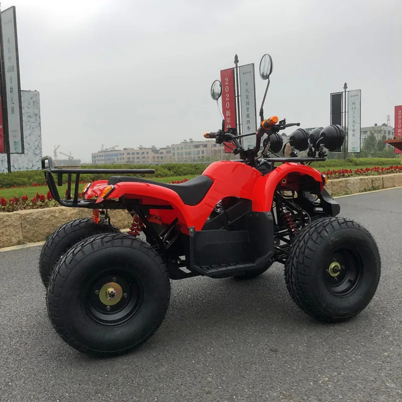  Местности внедорожный ATV ось привода 48V750W Электрический квадроцикл все 500 - 800W автоматический вал
