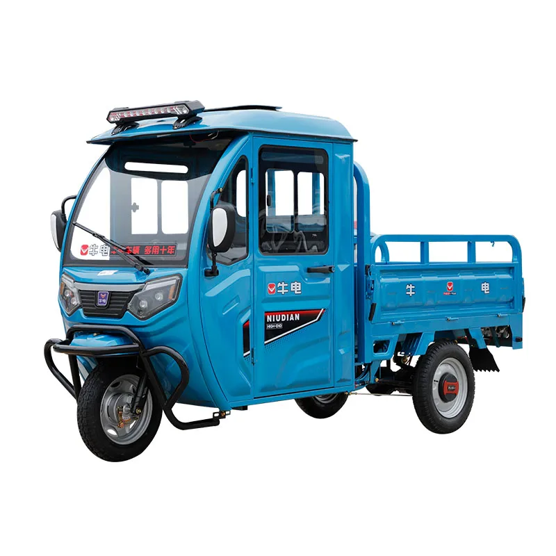 Factory price customize electric cargo tricycle 3 wheel electric for cargo with cheap price