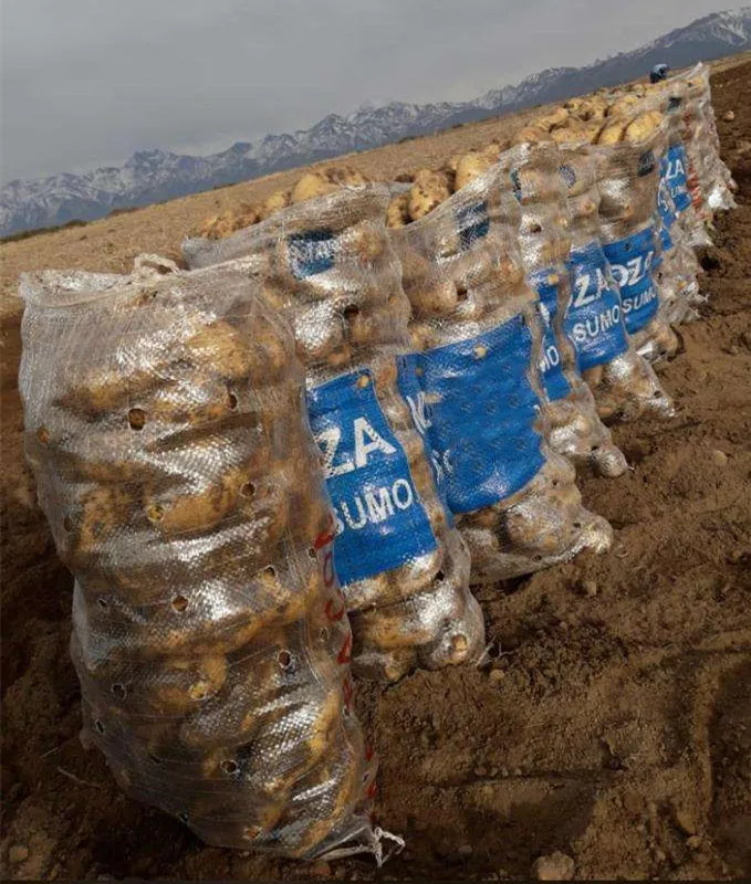 Customized size, color, type of 100% raw material pp woven bags Transparent woven bags for packing potatoes
