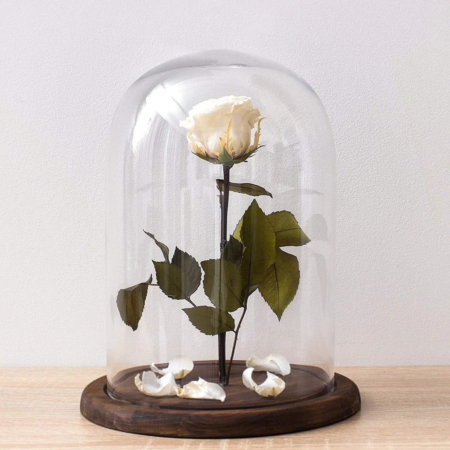 Glass Dome With Wood Base  flower mini glass dome for lights ornament with led cloche display glass dome with base