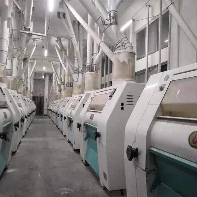 250Ton Per Day Capacity Mill Plant Wheat Corn Jute Flour Machinery In Dubai