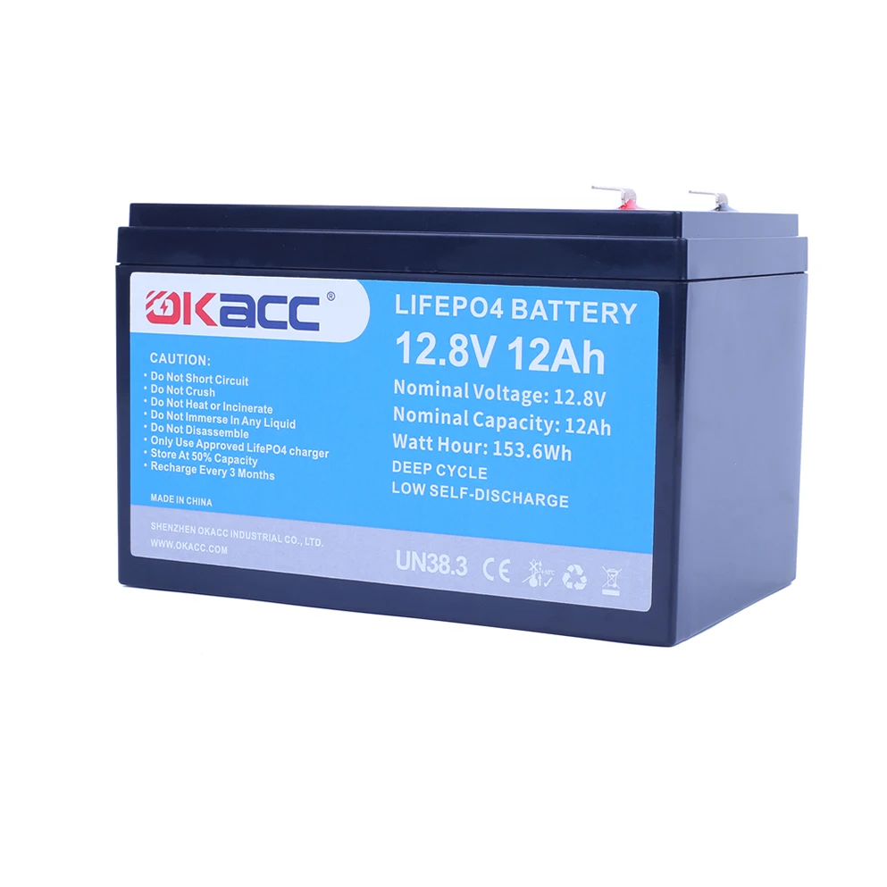 Superior Quality High Power Batterie Lithium Lithium-Ion Plomb 12V 12Ah Battery