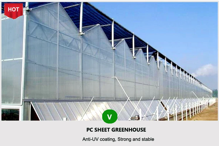 PC sheet greenhouse