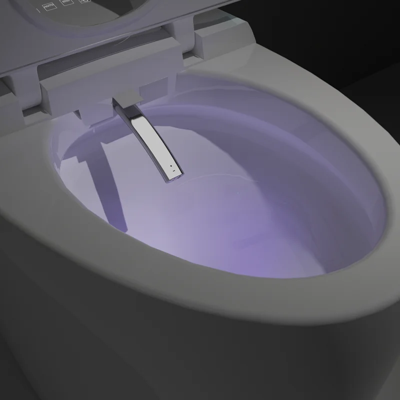 Egg Shaped One Piece Siphonic Smart Toilet S-Trap Auto Flush Big Pipe 110V\220V Female Washing Warm Wind