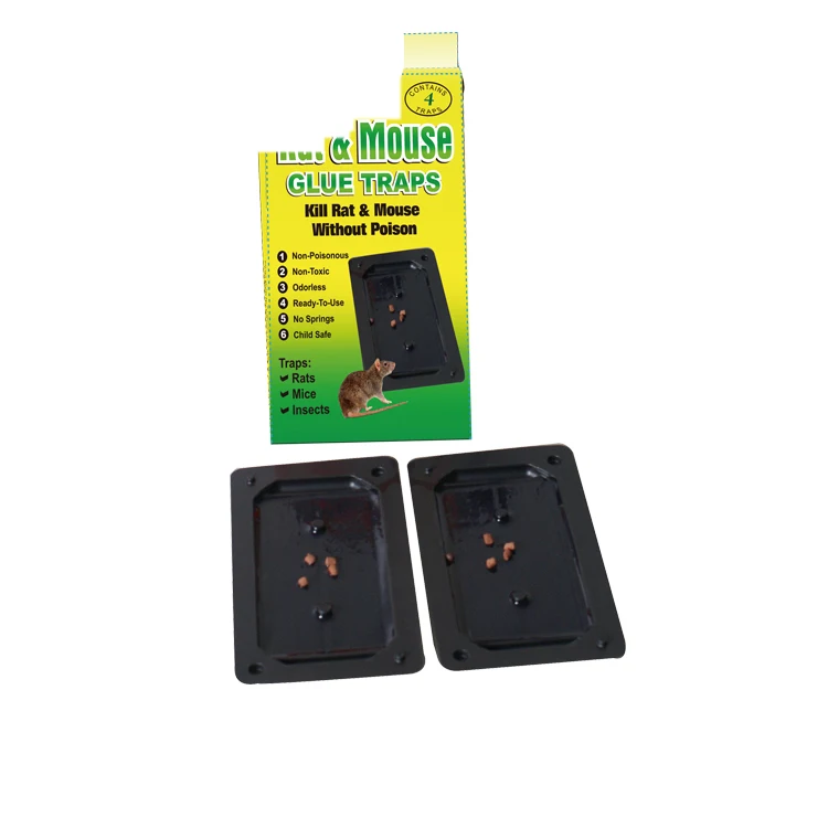 BSTW Rat Killer cyanoacrylate adhesive rat adhesive