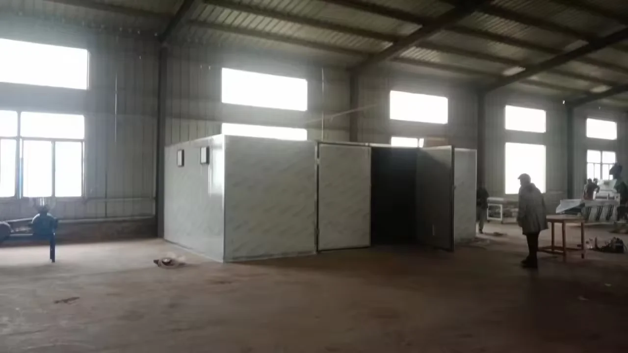 High Efficiency Fruits Vegetables Hot Air Circulating Dryer Machine Fruit Drying Equipment Dried Fruits Drying Machine