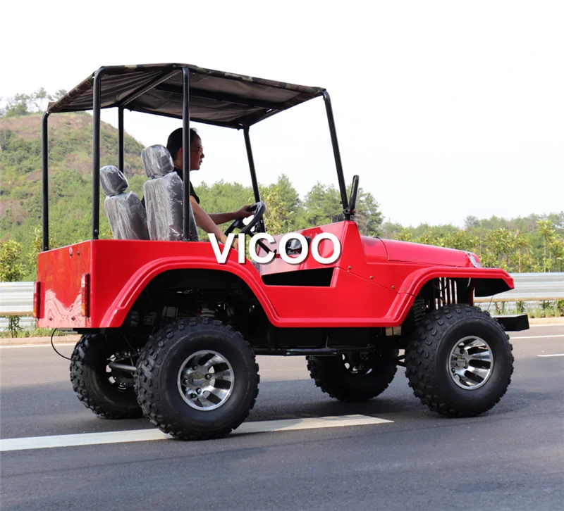 Hot Sell 2 Seats Electric atv 3000W UTV Buggy For Adult