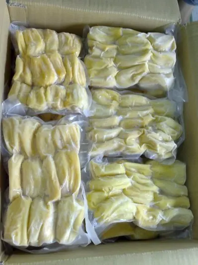 FROZEN JACKFRUIT THE BEST QUALITY FROM VIETNAM 2021